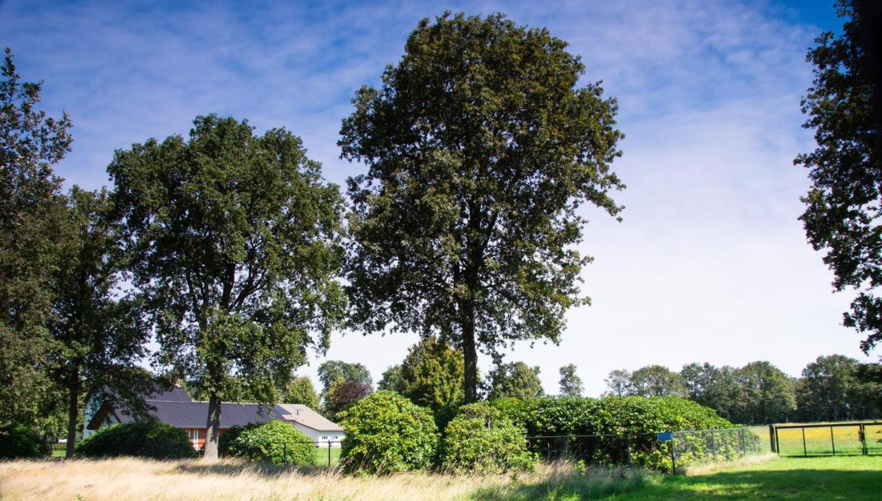 Bed And Breakfast Lindershoeve Bergeijk Exteriér fotografie